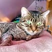 Thumbnail photo of Clara #1