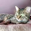 Thumbnail photo of Clara #2