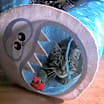 Thumbnail photo of Clara #3