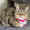 Thumbnail photo of Coco #1