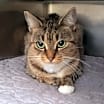 Thumbnail photo of Coco #3