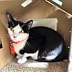 Thumbnail photo of Bella #1