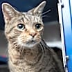 Thumbnail photo of Ted #3