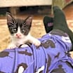 Thumbnail photo of Hermione #1