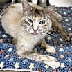 Thumbnail photo of Jenny #2