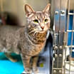 Thumbnail photo of Penelope #4