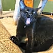 Thumbnail photo of Hex #1