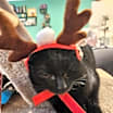 Thumbnail photo of Hex #3
