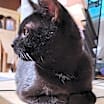 Thumbnail photo of Hex #4