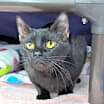 Thumbnail photo of Lil Mama #2
