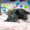 Thumbnail photo of Lil Mama #3