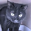 Thumbnail photo of Sigourney #4