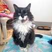 Thumbnail photo of LOLA #4