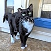Thumbnail photo of SueBee #3