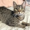 Thumbnail photo of Revina #2
