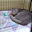 Thumbnail photo of Jonah Swift #2