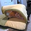 Thumbnail photo of Sherbie #2