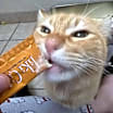 Thumbnail photo of Sherbie #3