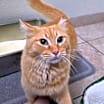 Thumbnail photo of Sherbie #4