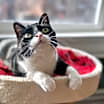 Thumbnail photo of Geraldine #1