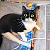 Thumbnail photo of Geraldine #2