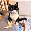 Thumbnail photo of Geraldine #3