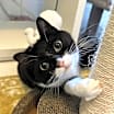 Thumbnail photo of Geraldine #4