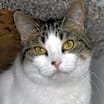 Thumbnail photo of Lucy #1