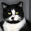 Thumbnail photo of Lyle #2