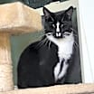 Thumbnail photo of Monti #1