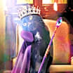Thumbnail photo of Sage #1