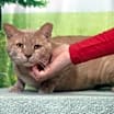 Thumbnail photo of Gilly #1