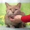 Thumbnail photo of Gilly #3