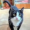 Thumbnail photo of Tommy #1