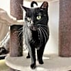 Thumbnail photo of Coco #2