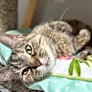 Thumbnail photo of Esme #2