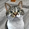Thumbnail photo of Francesca #1