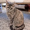 Thumbnail photo of Daisy Mae #2