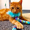 Thumbnail photo of Clarence #3