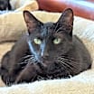 Thumbnail photo of Zak Loki #2
