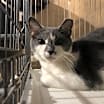 Thumbnail photo of Thumper #2