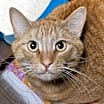 Thumbnail photo of Fergus #3