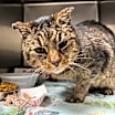 Thumbnail photo of Lucas #2