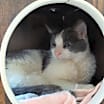 Thumbnail photo of Jake #4