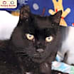Thumbnail photo of Marco #1