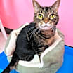 Thumbnail photo of Zoe #1