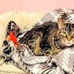 Thumbnail photo of Zoe #3