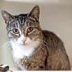 Thumbnail photo of Catricia #3