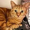 Thumbnail photo of Diego #1