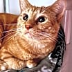 Thumbnail photo of Diego #2